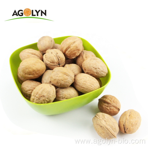 AGOLYN Organic natural raw walnut without shell